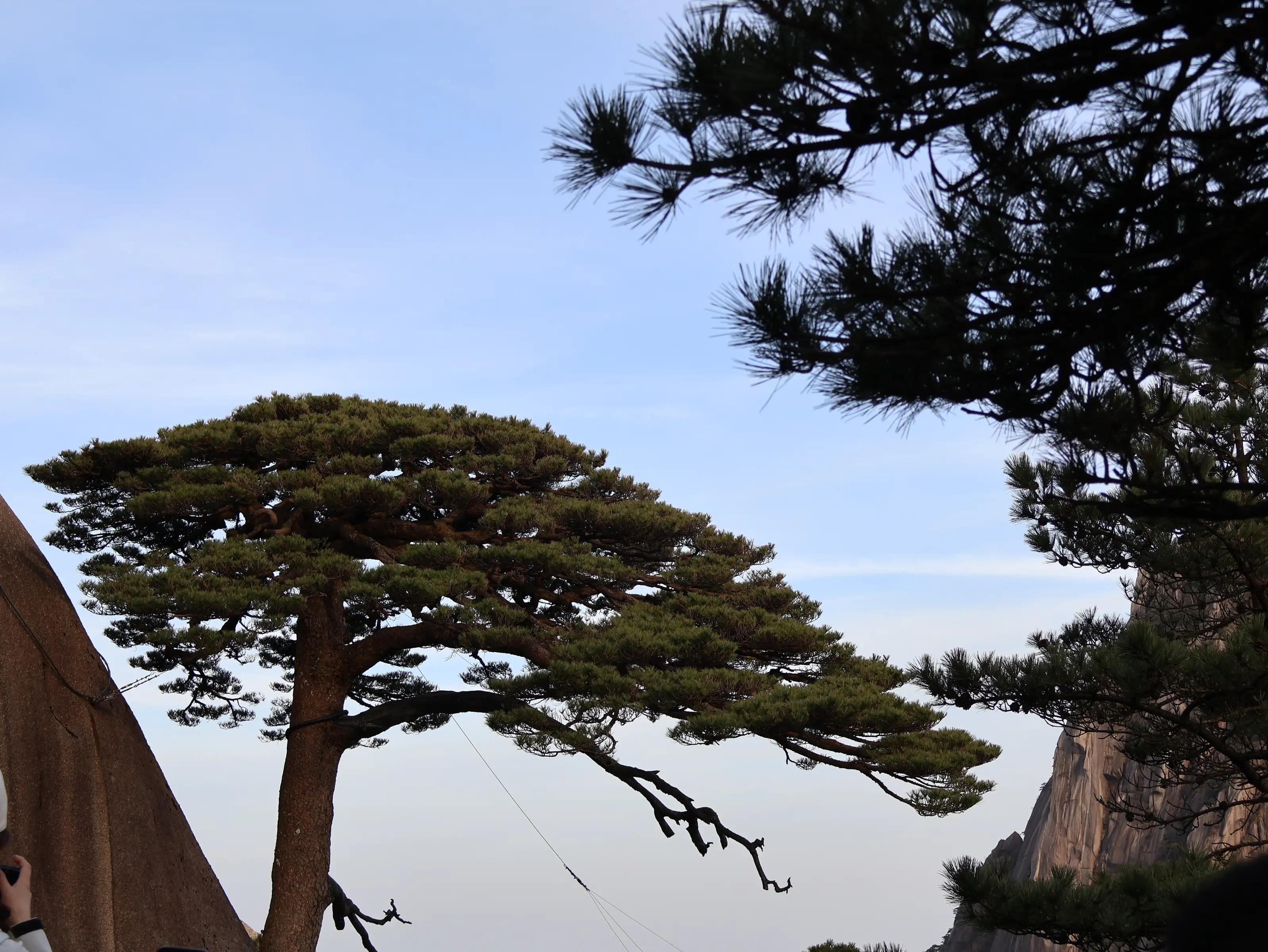 黄山之行
